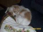 bobby1105a.jpg

96.28 KB 
640 x 480 
24/05/2003
