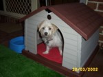 bobby2003e.jpg

346.98 KB 
1280 x 960 
20/03/2002
