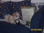 bobby2302c.jpg

95.49 KB 
640 x 480 
23/02/2002
