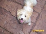 bobby2302d.jpg

352.04 KB 
1280 x 960 
23/02/2002
