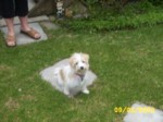 bobby_0005.jpg

353.69 KB 
1280 x 960 
12/02/2002

