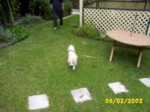bobby_0006.jpg

344.67 KB 
1280 x 960 
12/02/2002
