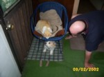 bobby_0010.jpg

351.74 KB 
1280 x 960 
12/02/2002
