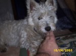 jock1004f.jpg

96.41 KB 
640 x 480 
24/05/2003
